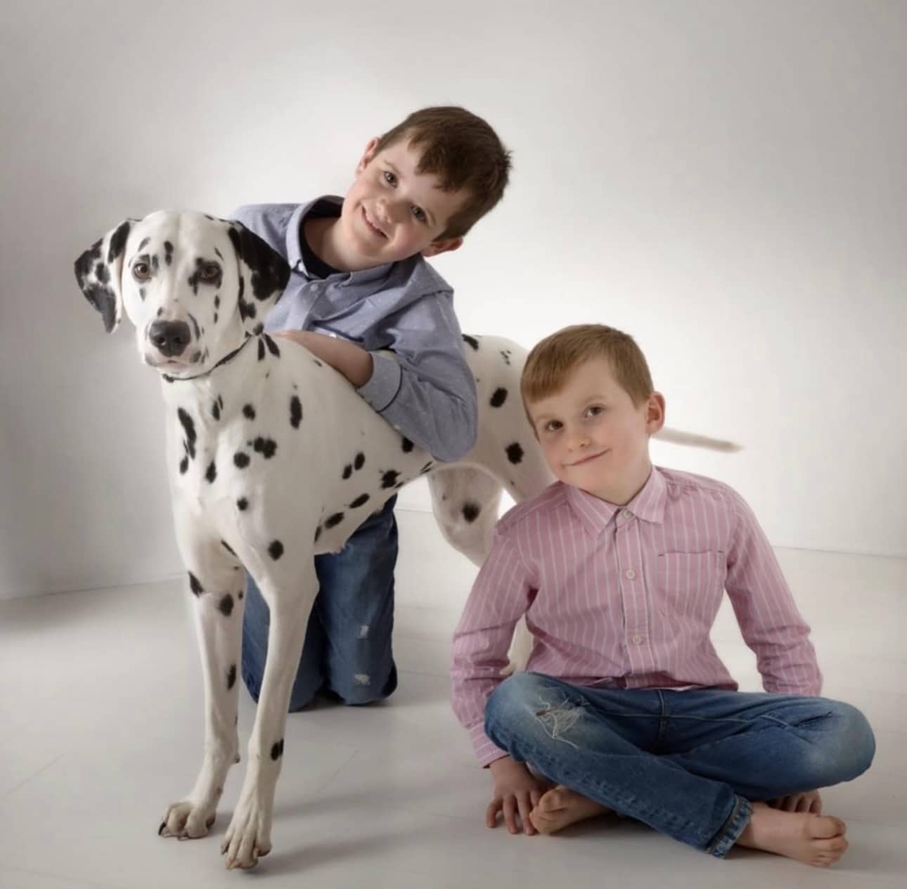 Dolly the Dalmatian