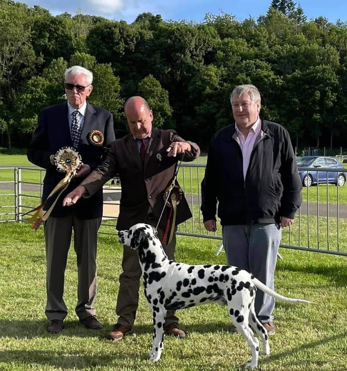 Henry the Dalmatian