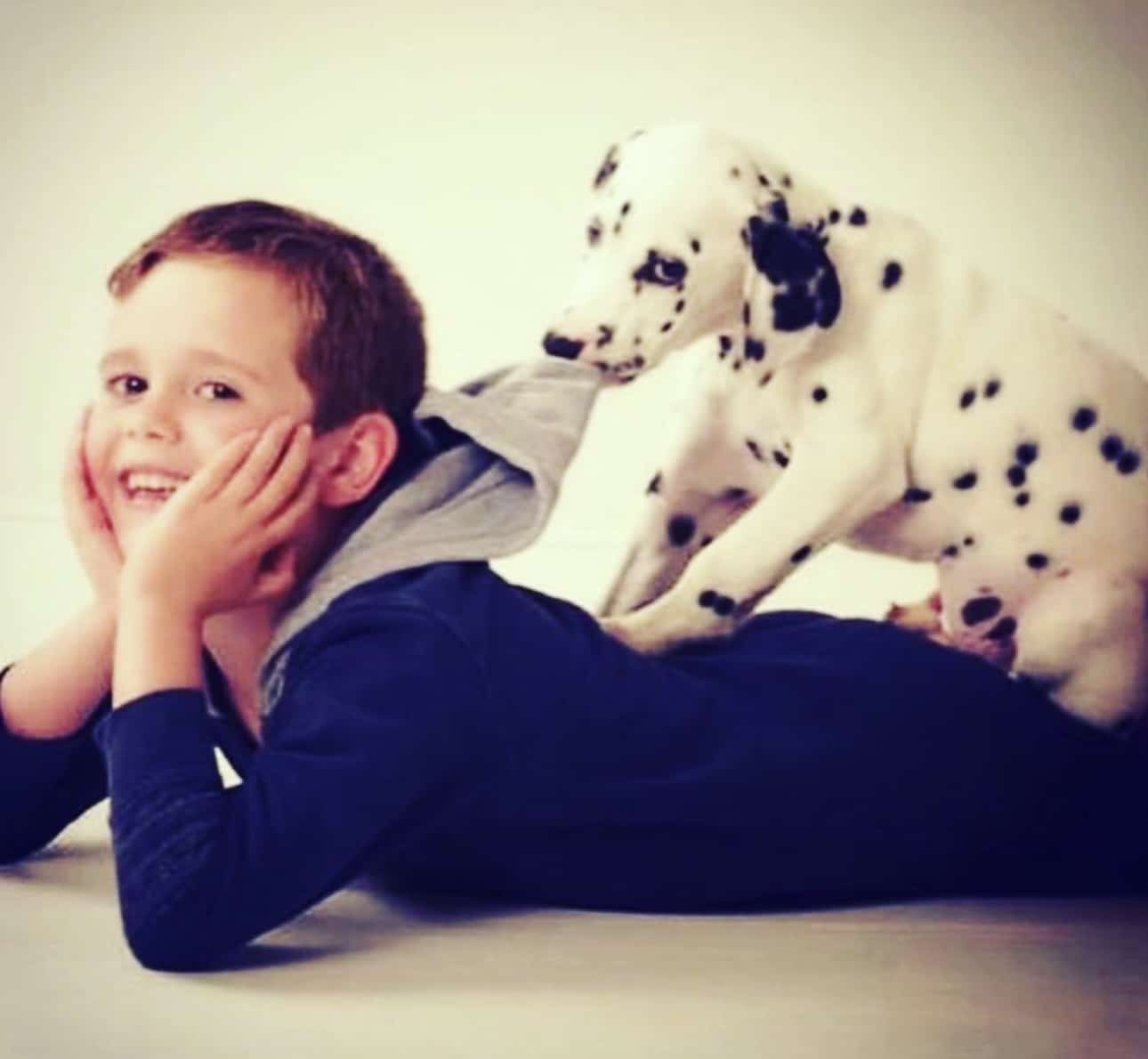 Olilou Dalmatian