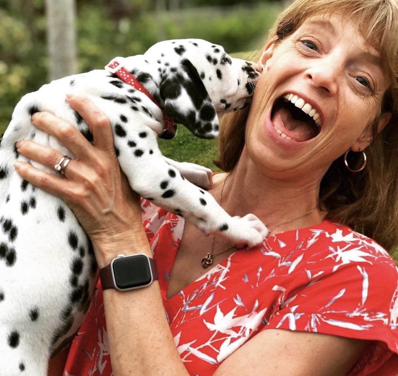 Olilou Dalmatian