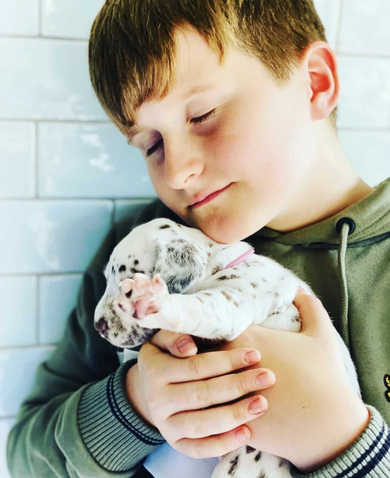 Olilou Dalmatian