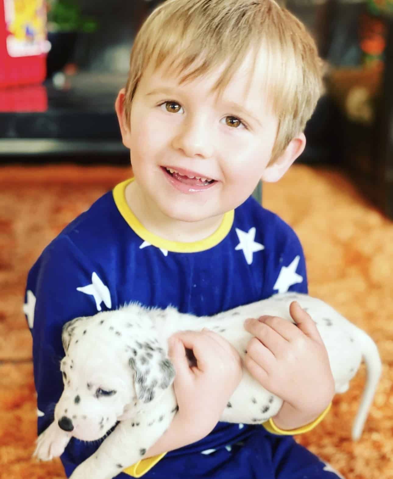 Olilou Dalmatian