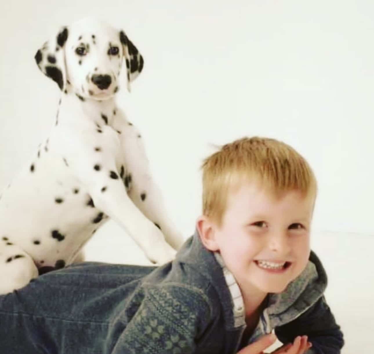 Olilou Dalmatian
