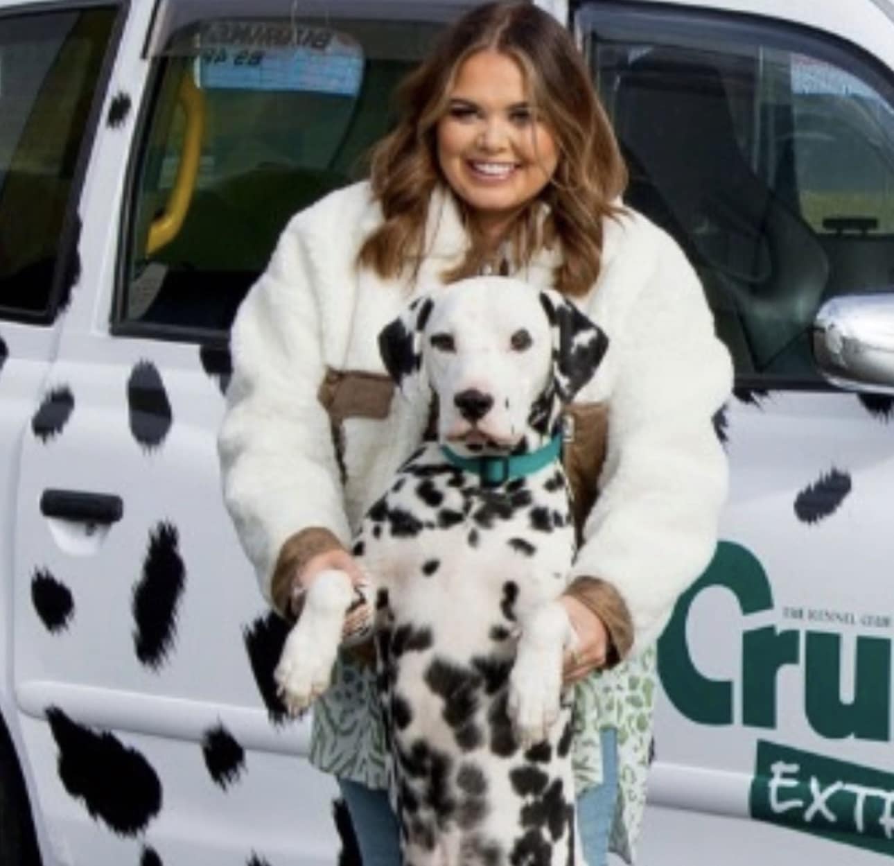 Olilou Dalmatian