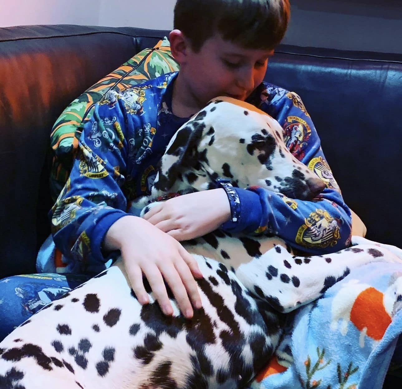 Olilou Dalmatian