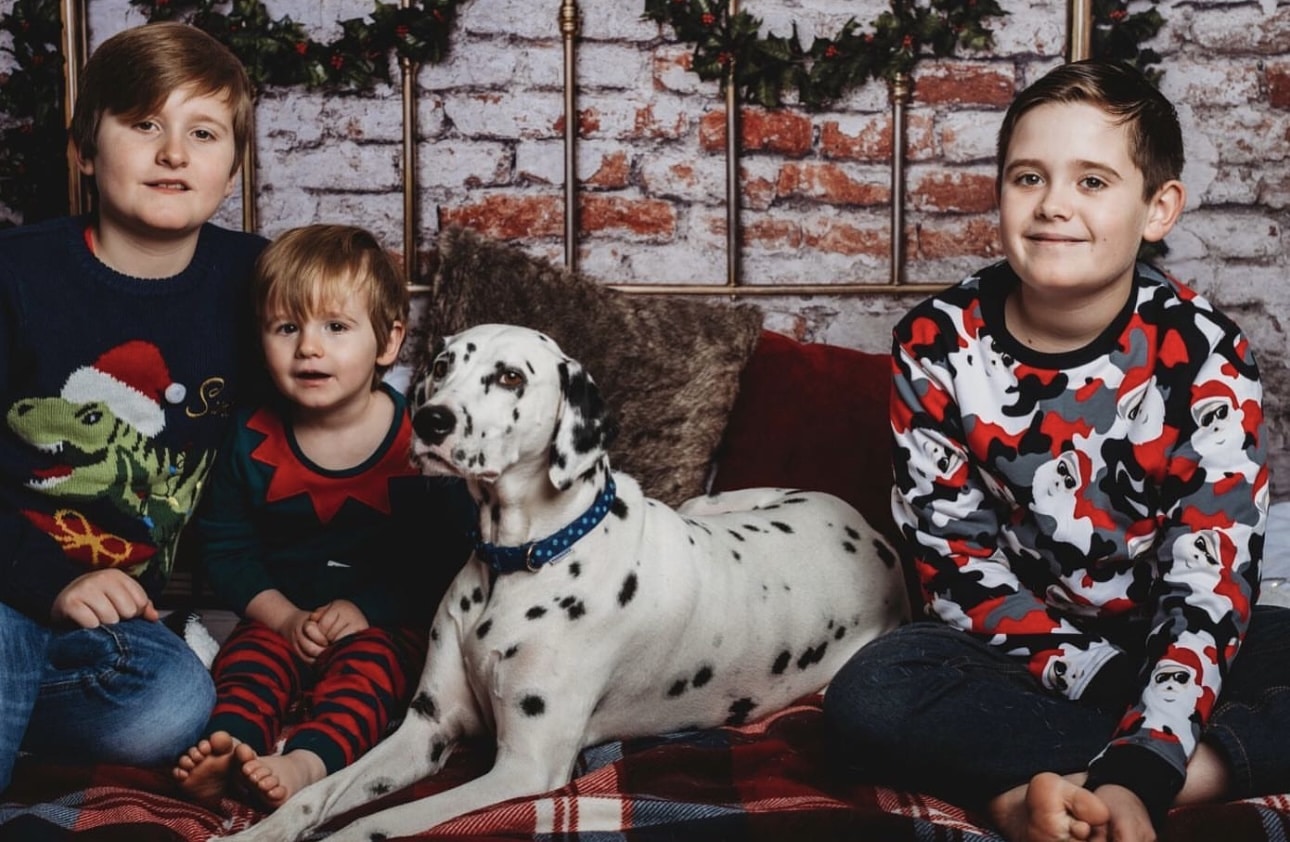 Olilou Dalmatian