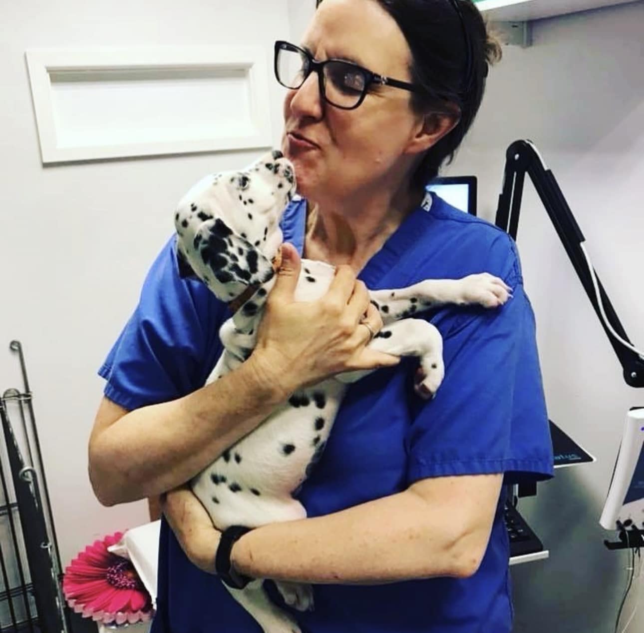 Olilou Dalmatian