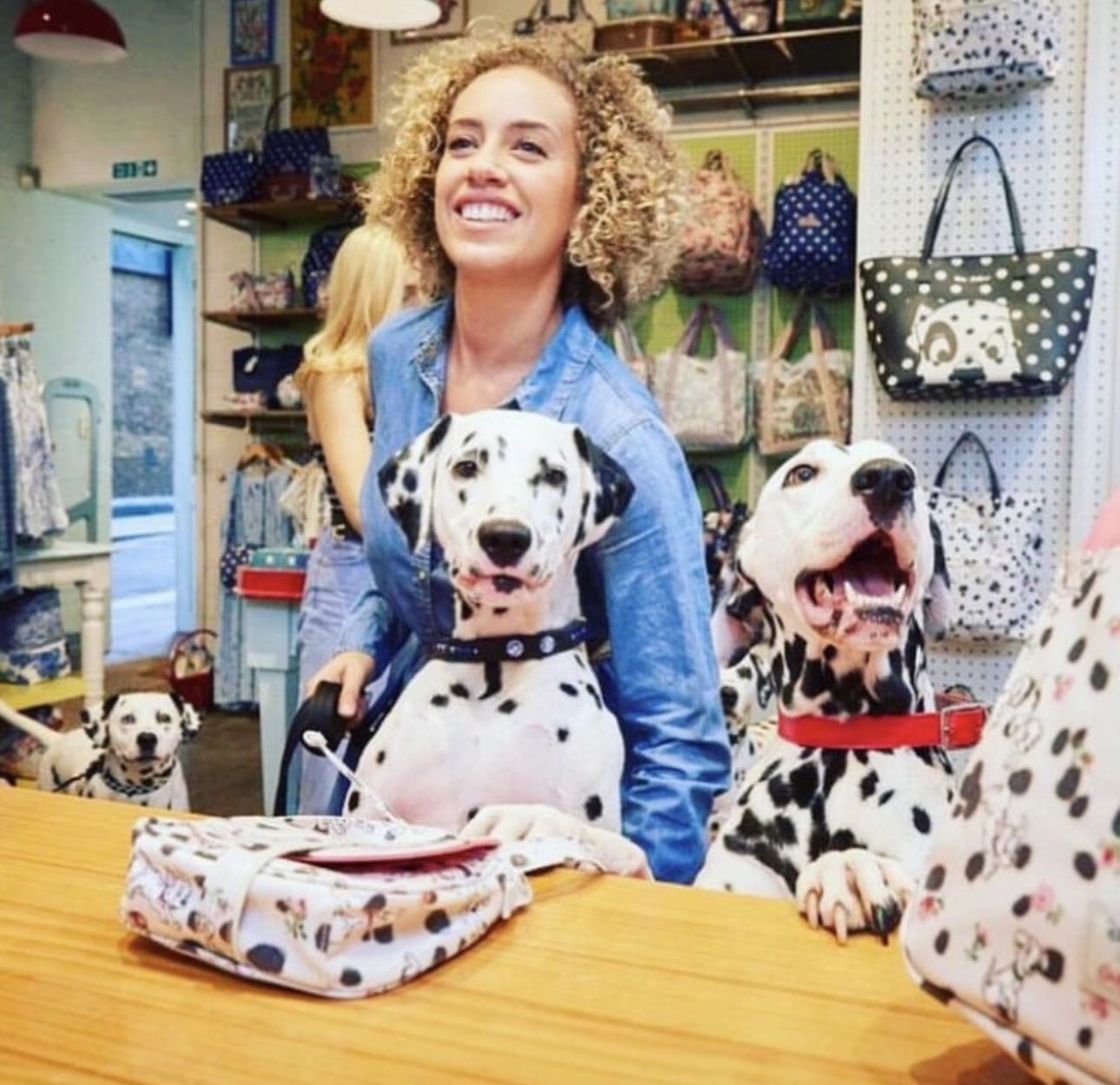 Olilou Dalmatian