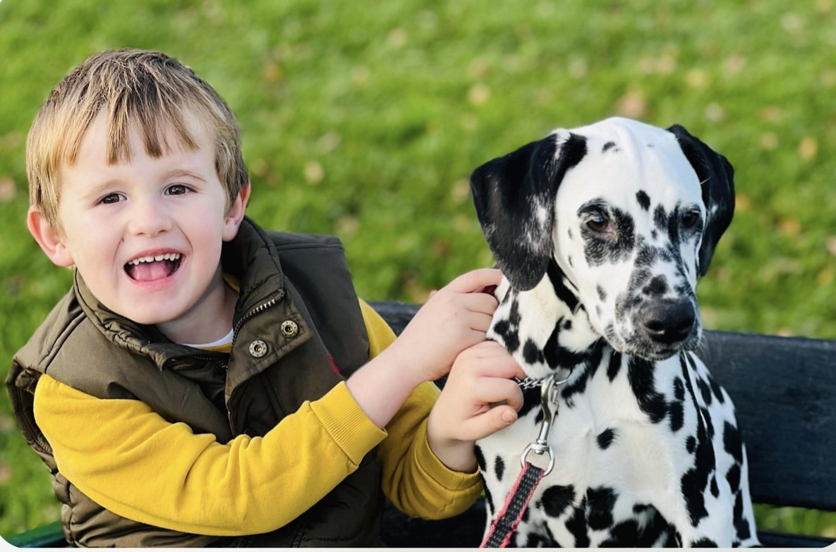 Naz the Dalmatian