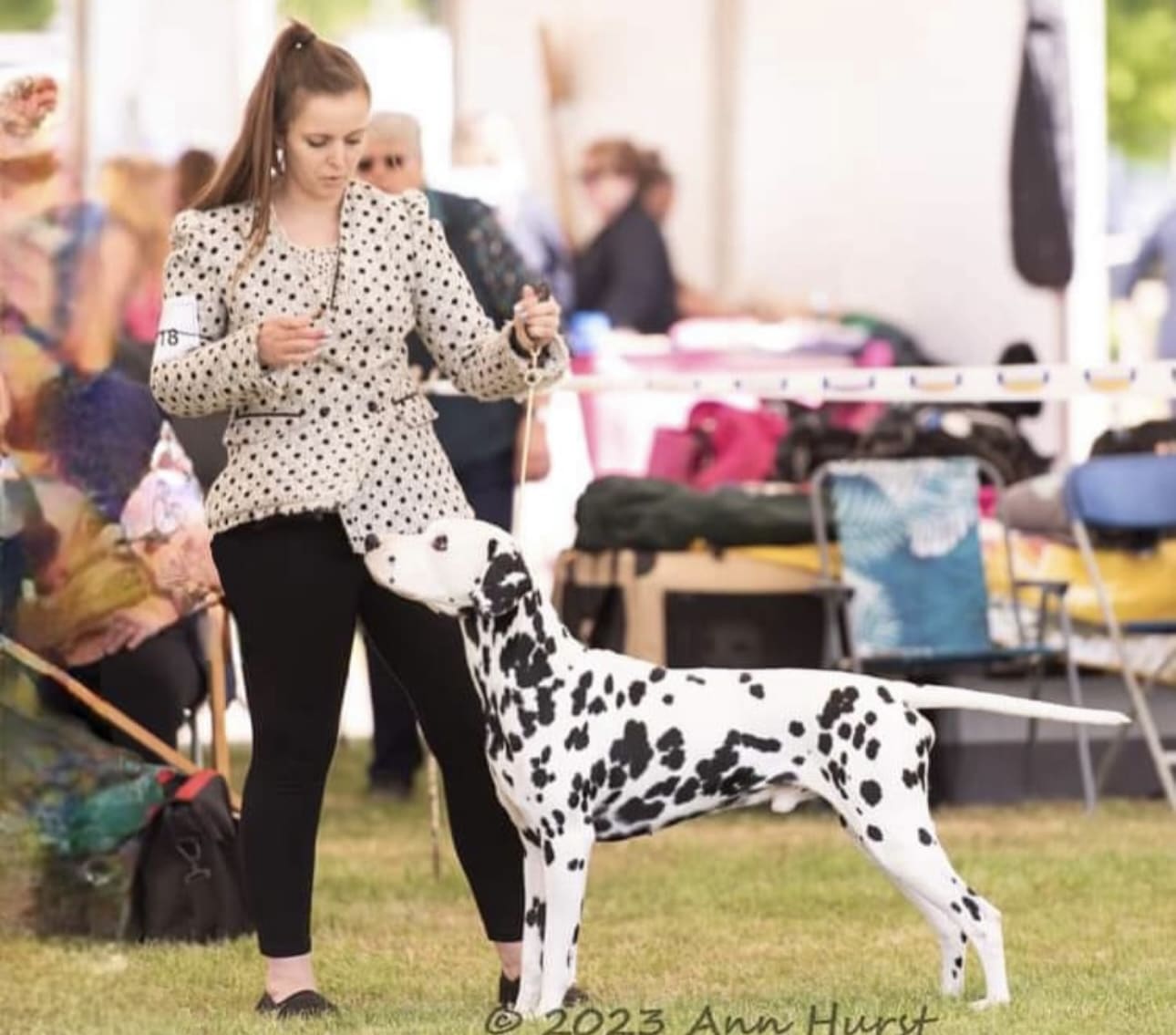 Ralph the Dalmatian