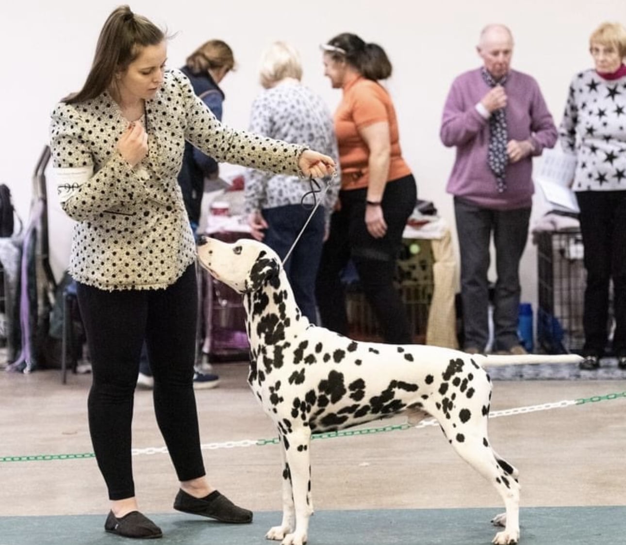 Ralph the Dalmatian