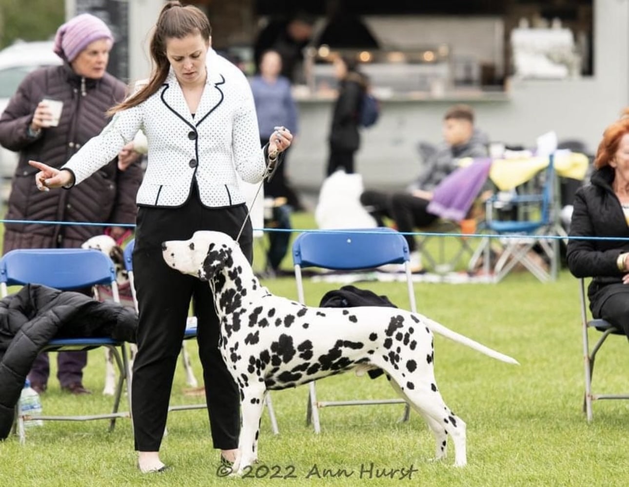 Ralph the Dalmatian