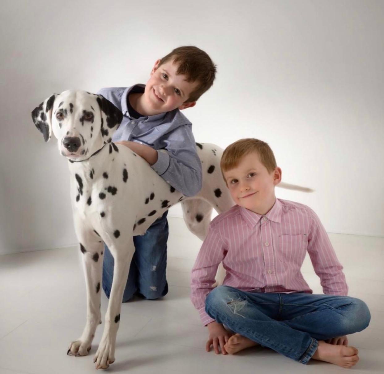 Olilou Dalmatian