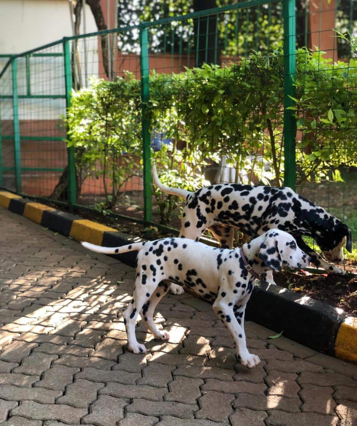 Markus R. Weiss / Nairobi,  Kenya